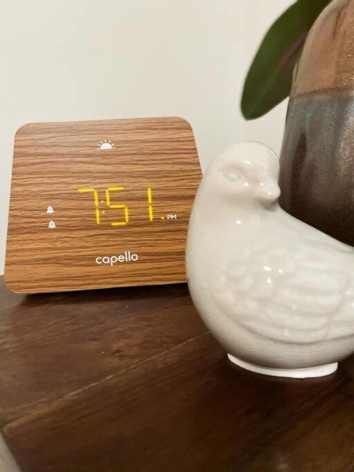The Nest In 5 Points, Downtown, Walk To Everything Huntsville Extérieur photo